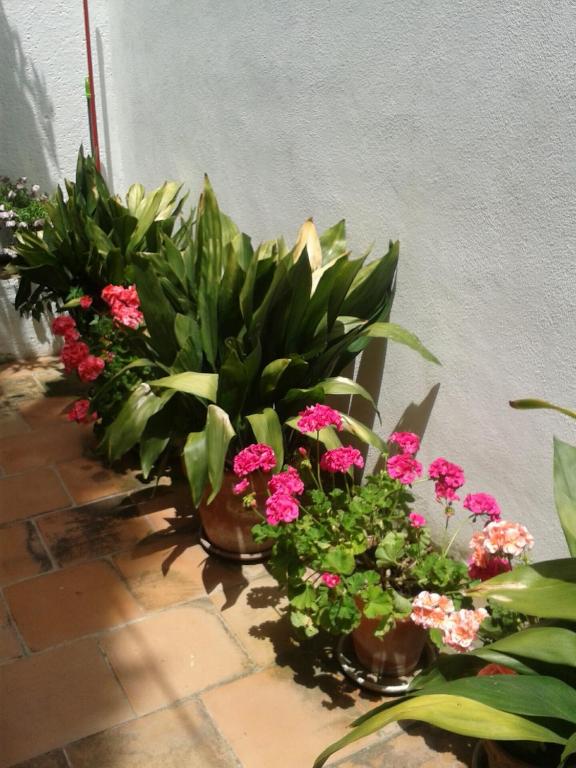 La Casita del Corralon - 4