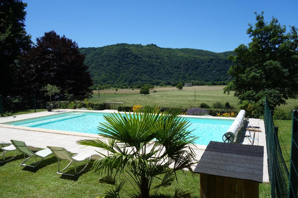 a swimming pool with chairs and a palm tree in a yard at Chambres d'hôtes de charme Le Pradel in Monceaux-sur-Dordogne