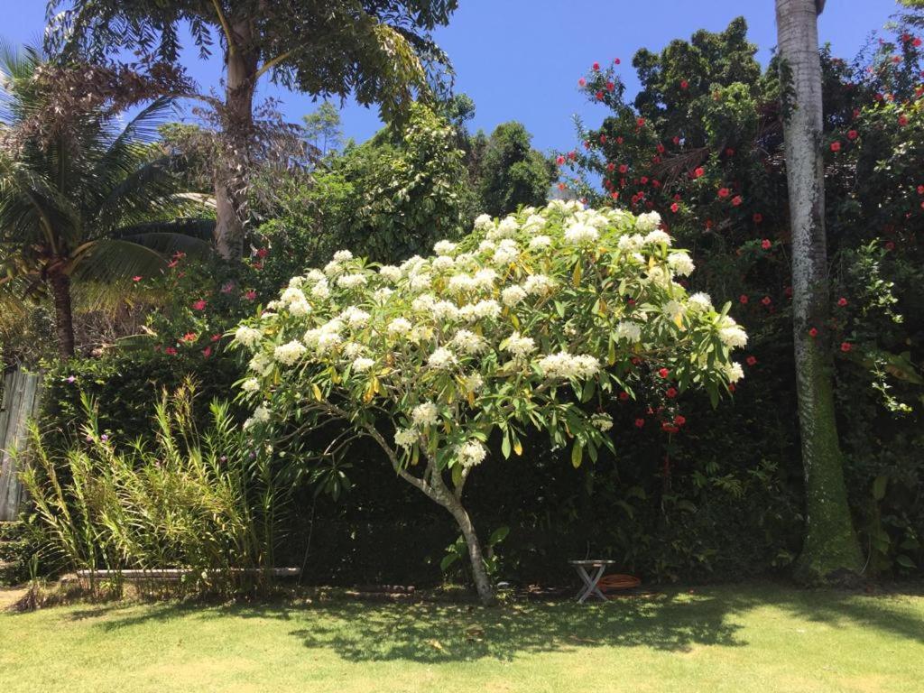  Casa na praia