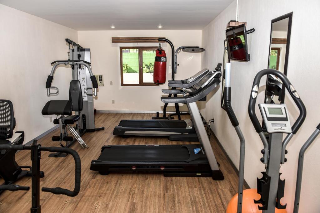 Fitness centrum a/nebo fitness zařízení v ubytování Hotel Oliver Inn - Business Class