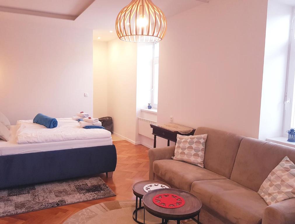 Apartments Artorius Laško - Apartamento De Una Habitación