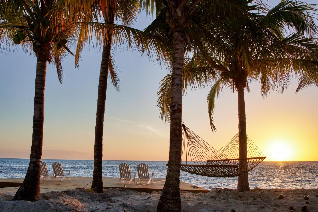 a hammock between two palm trees on the beach at Isla Bella Beach Resort & Spa - Florida Keys in Marathon