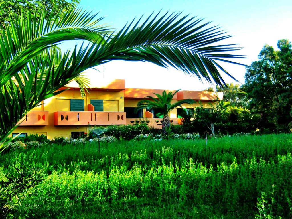 a house with a palm tree in front of a field at Chrissas Apartments in Rethymno