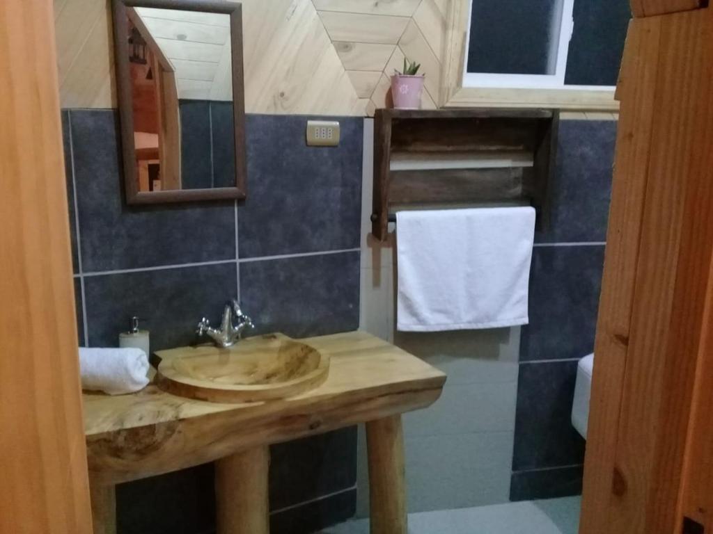 a bathroom with a sink and a mirror at domoschiloe in Ancud