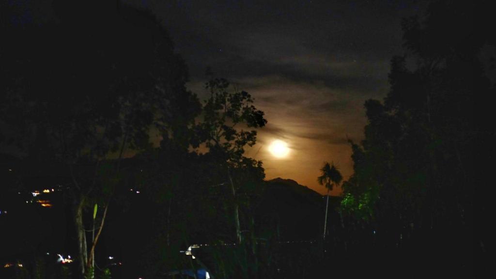 Ella Nimal Nest Inn - 10