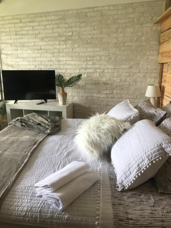 1 dormitorio con 1 cama con almohadas y TV en Bidieen Inn Uruguay, en Carrasco