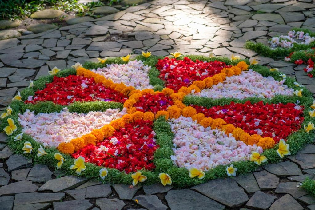 Zahrada ubytování Omunity Bali