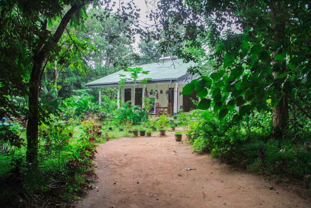 Zahrada ubytování Sigiriya Mana B&B