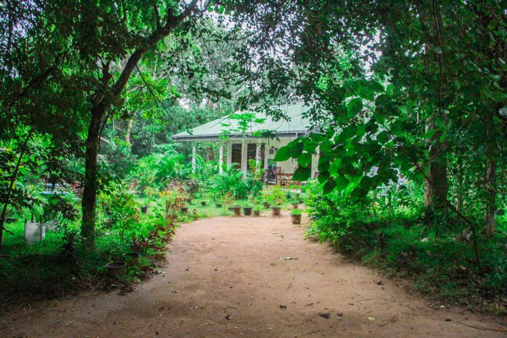 Zahrada ubytování Sigiriya Mana B&B
