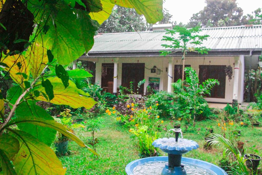 Zahrada ubytování Sigiriya Mana B&B
