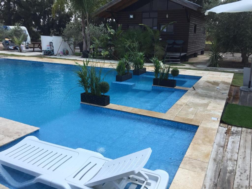 a swimming pool with two white lounge chairs in front of it at Bustan HaZait in Nahariyya
