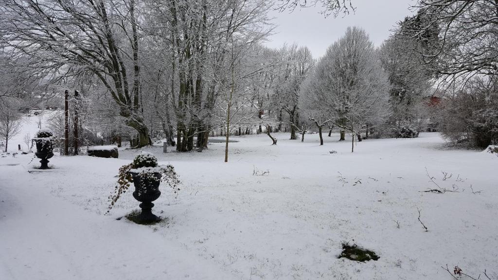 Hoby Gård B&B v zimě