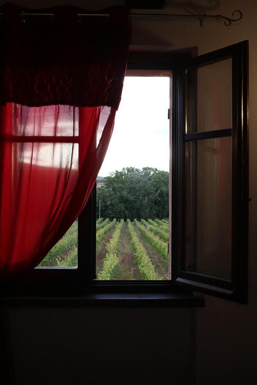 Fotografie z fotogalerie ubytování Casale Rialto v destinaci Montefalco