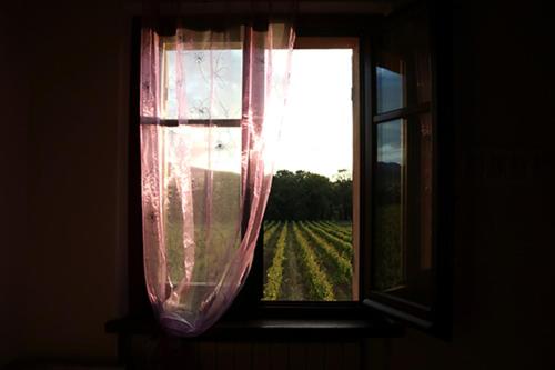 Fotografie z fotogalerie ubytování Casale Rialto v destinaci Montefalco