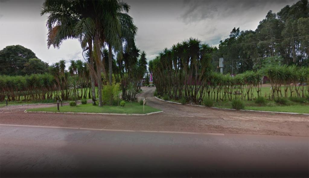 une route bordée de palmiers dans l'établissement Motel Paradiso - Tapera, à Tapera
