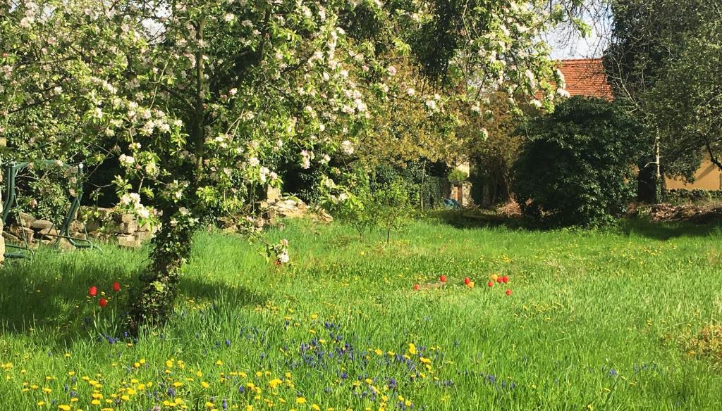 Zahrada ubytování Plantagengut Hosterwitz