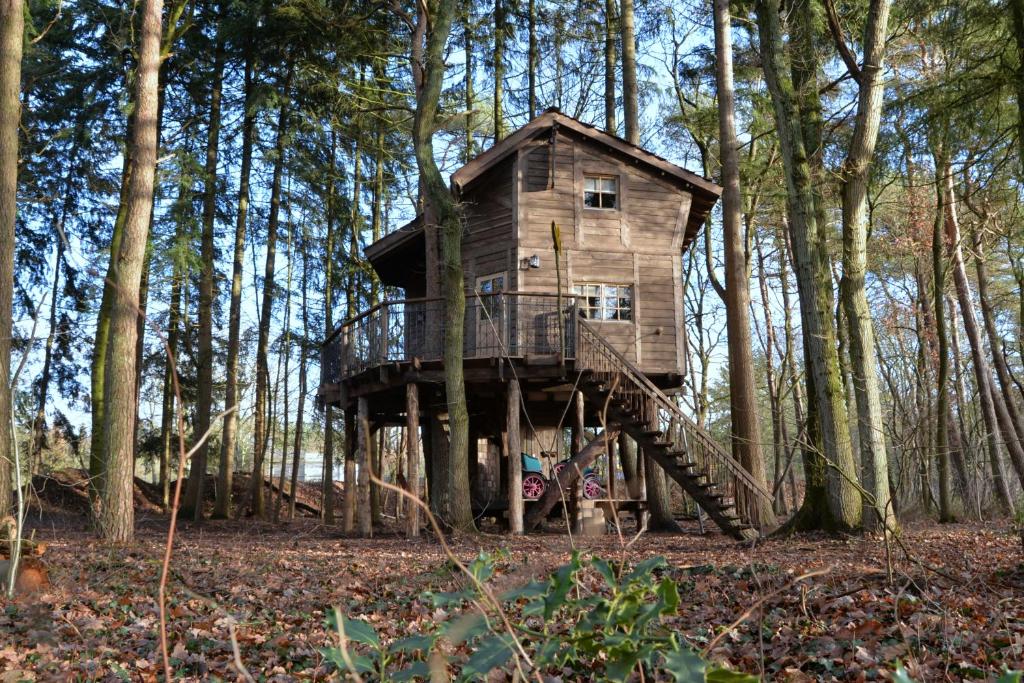 Drouwen的住宿－Boomhut Drouwenerzand，树林中间的树屋