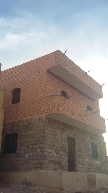 two birds sitting on the side of a brick building at King Nubian guest house in Aswan