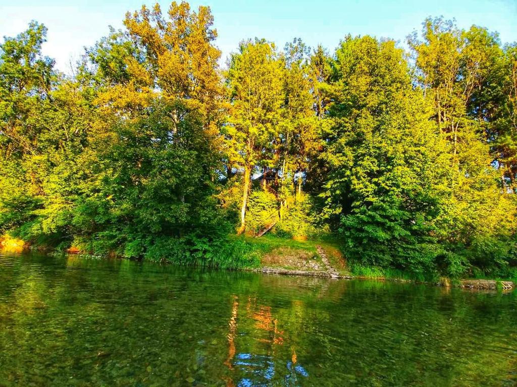 a river with trees on the side of it at Kuća za odmor &quot;Livadica&quot; in Netretić