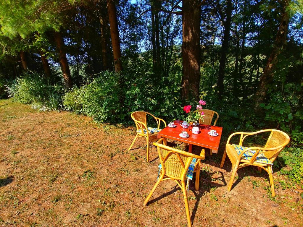 three chairs and a red table with flowers on it at Kuća za odmor &quot;Livadica&quot; in Netretić