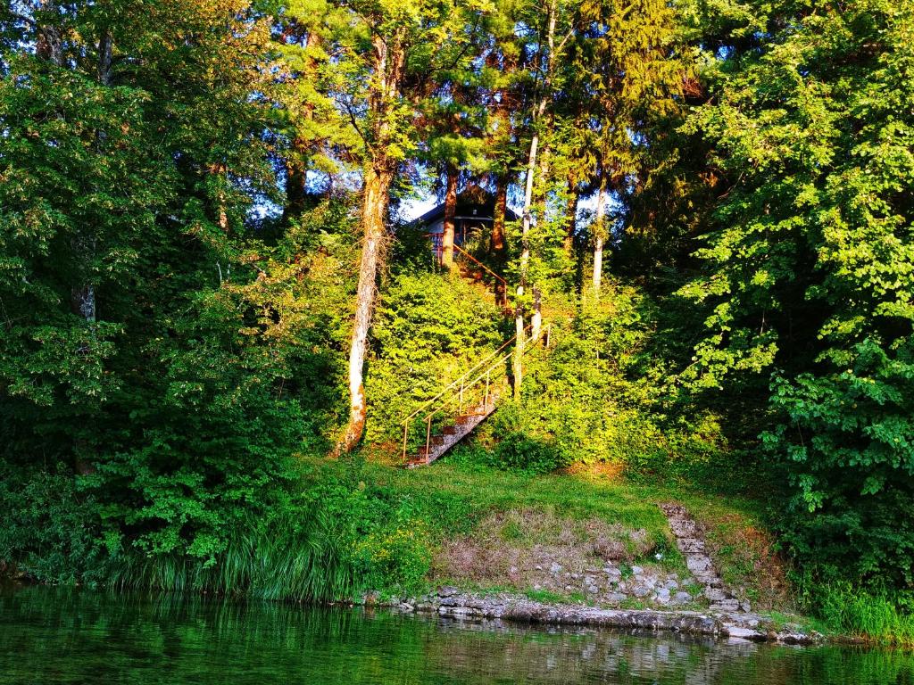 a forest with trees and a body of water at Kuća za odmor &quot;Livadica&quot; in Netretić