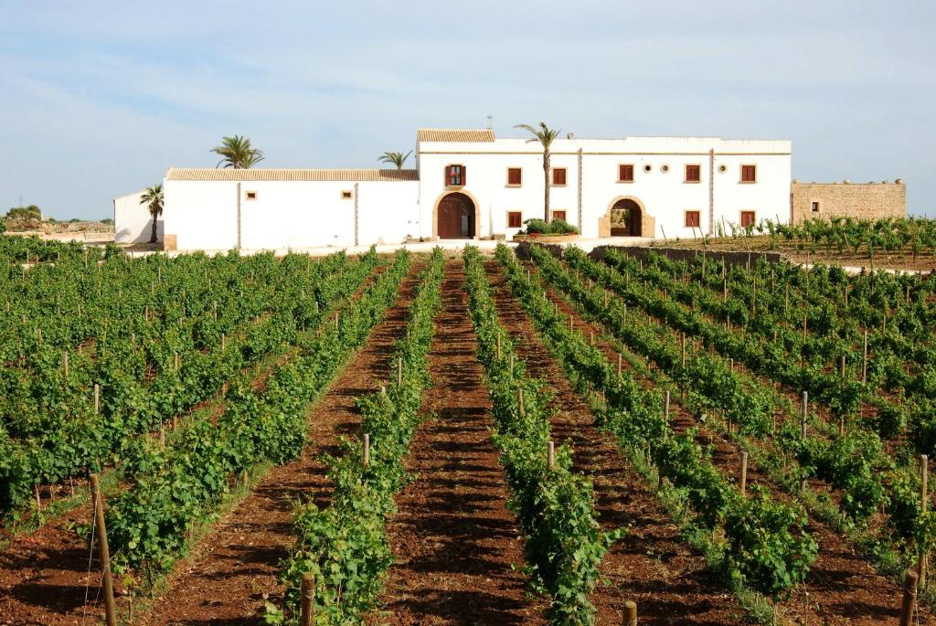 Zahrada ubytování Agriturismo Baglio Donnafranca Wine Resort