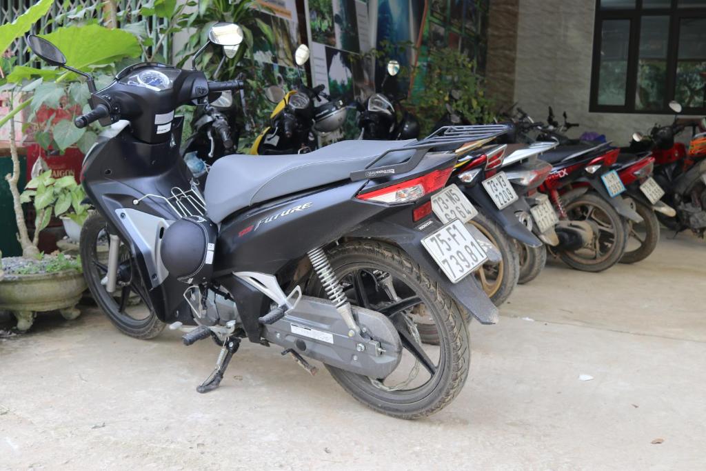 Son Doong Riverside - 5