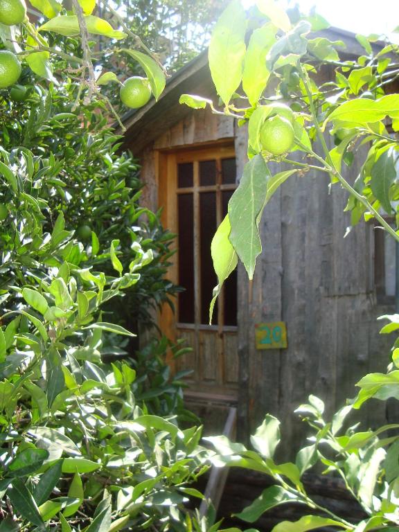 Zahrada ubytování Olympos Varuna Bungalows & Restaurant