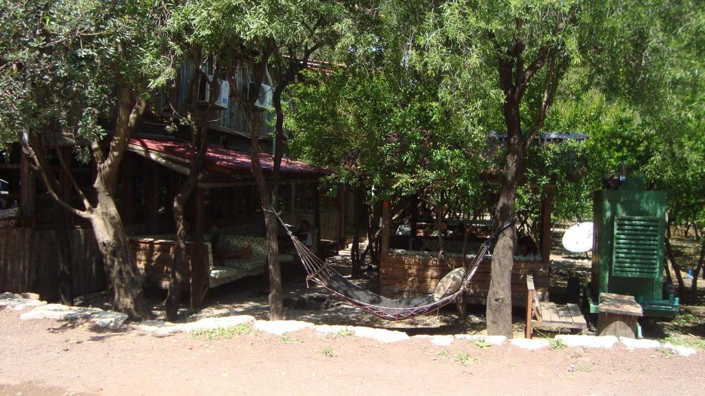 Fotografie z fotogalerie ubytování Olympos Varuna Bungalows & Restaurant v destinaci Olympos