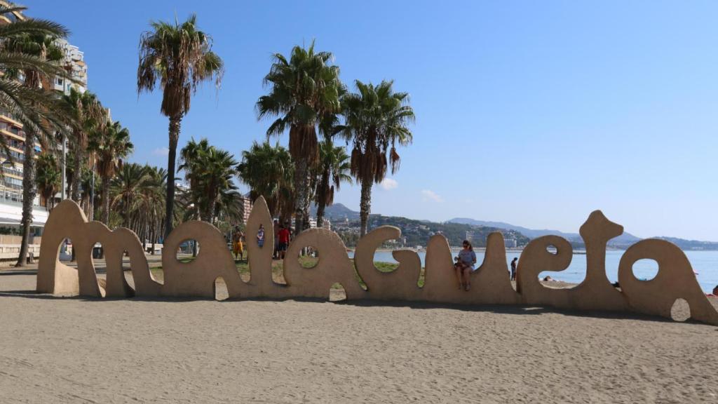 a beach with palm trees and palm trees at Pensión Santa Paula in Málaga