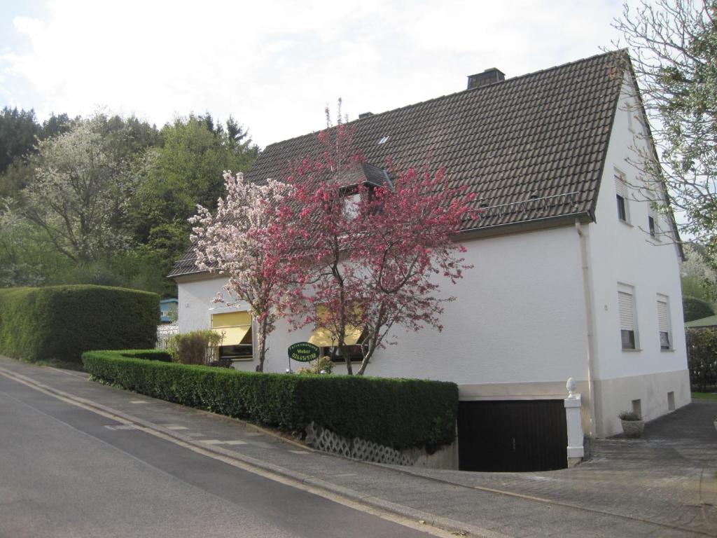 une maison blanche avec un arbre en face dans l'établissement Ferienwohnung Weber, à Schleiden