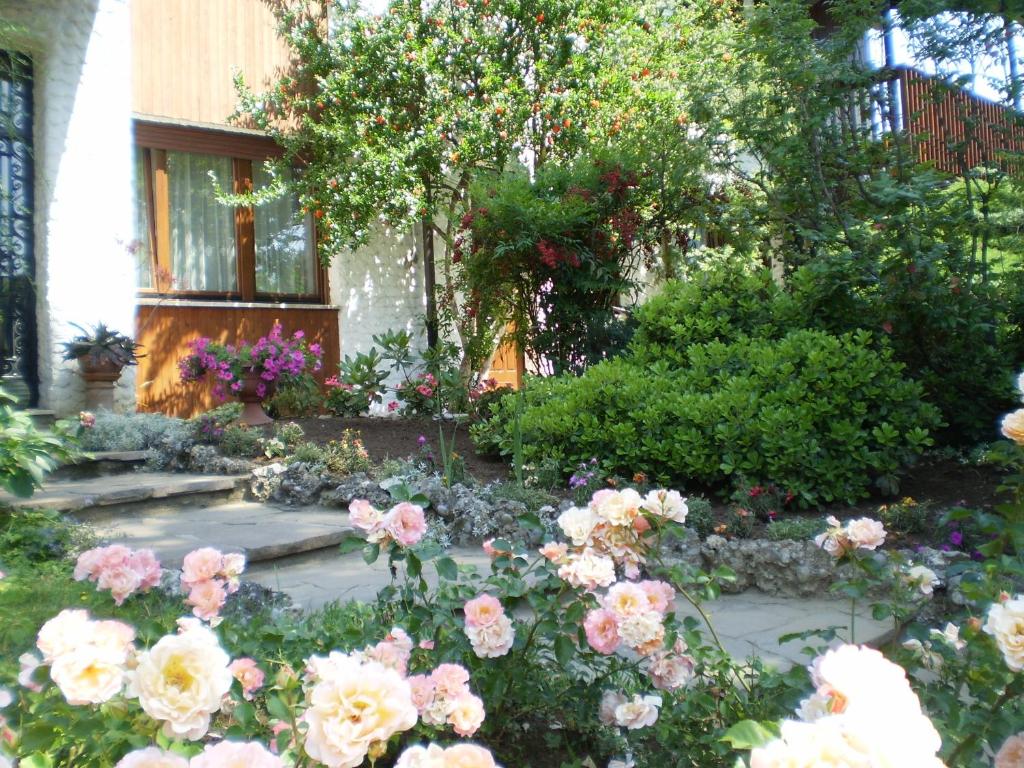 Zahrada ubytování B&B Fontanella