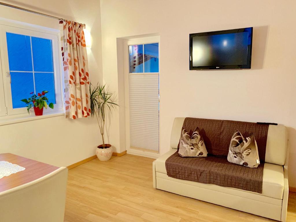 A television and/or entertainment centre at Appartements Zillertal Noten