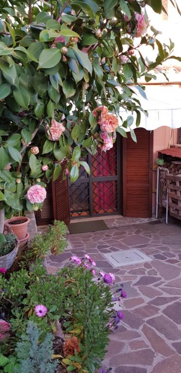 a tree with pink flowers in front of a building at B&B Vista su Roma in Marco Simone