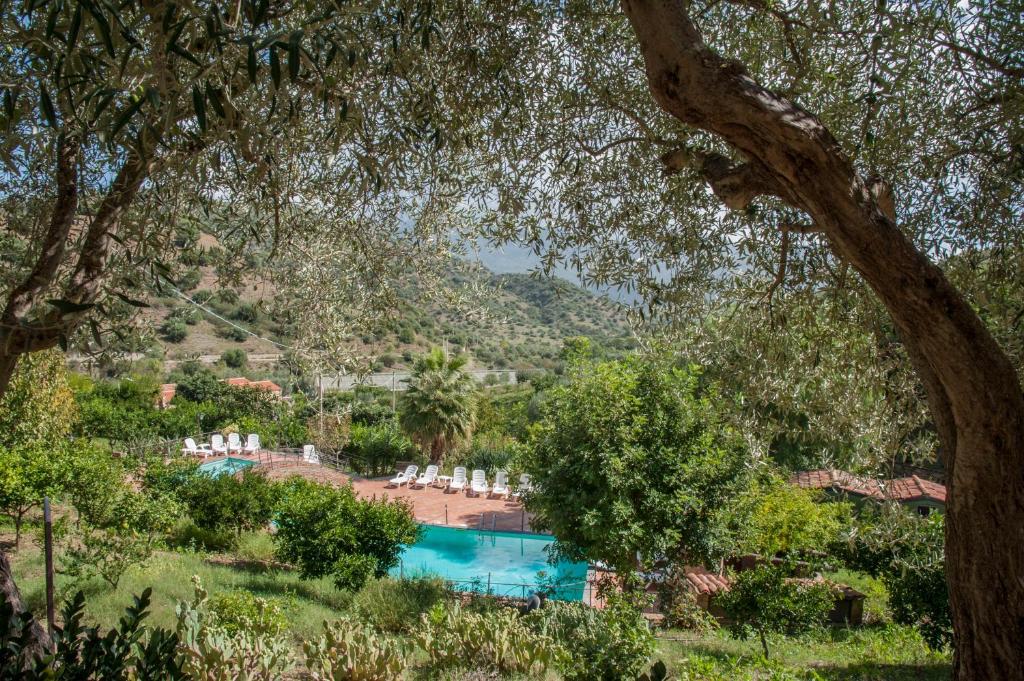 uma vista para uma piscina com espreguiçadeiras e árvores em Azienda Agrituristica Bergi em Castelbuono