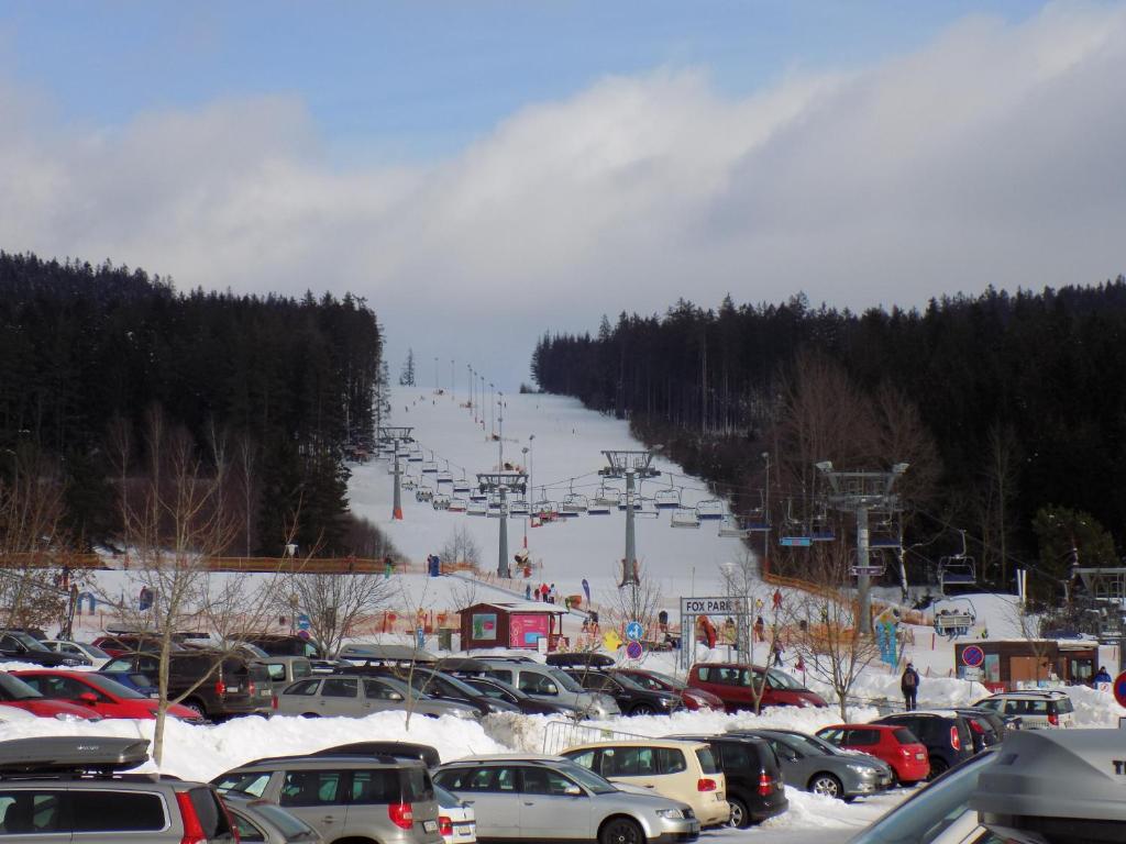 Vila Kubik Lipno v zimě