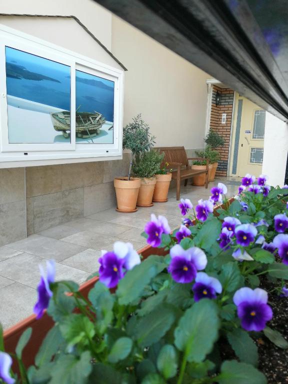 Zahrada ubytování Giorgos Apartments Sea View