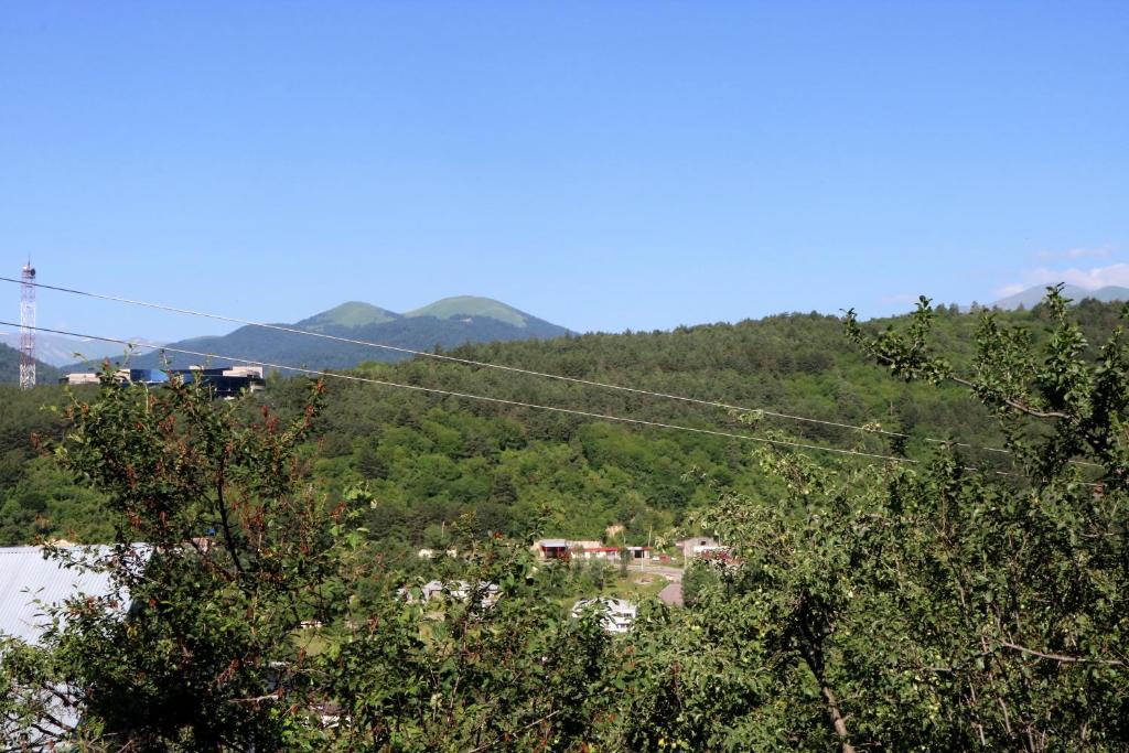 Dilijan Town Inn - Maison De Deux Chambres