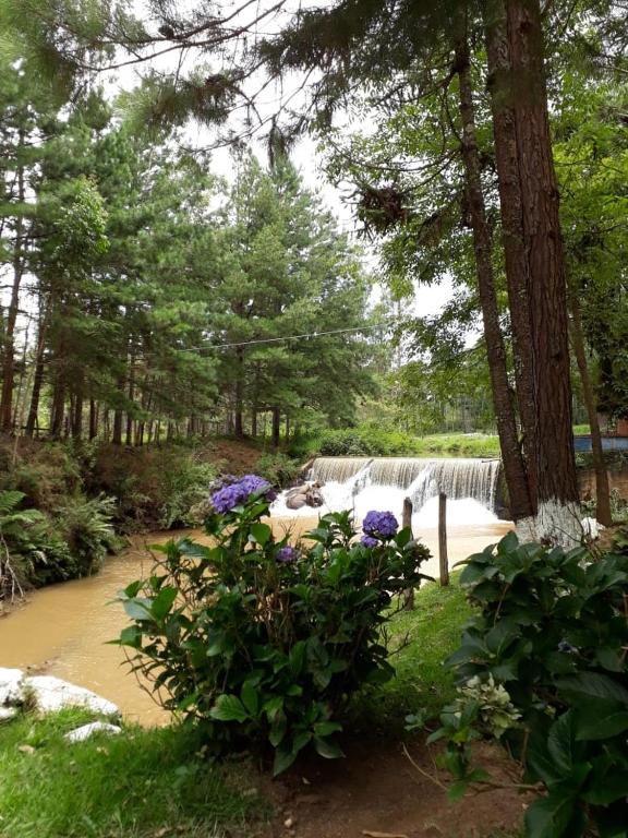 a waterfall in a park with flowers and trees at Pousada Chalés da Lua in Munhoz