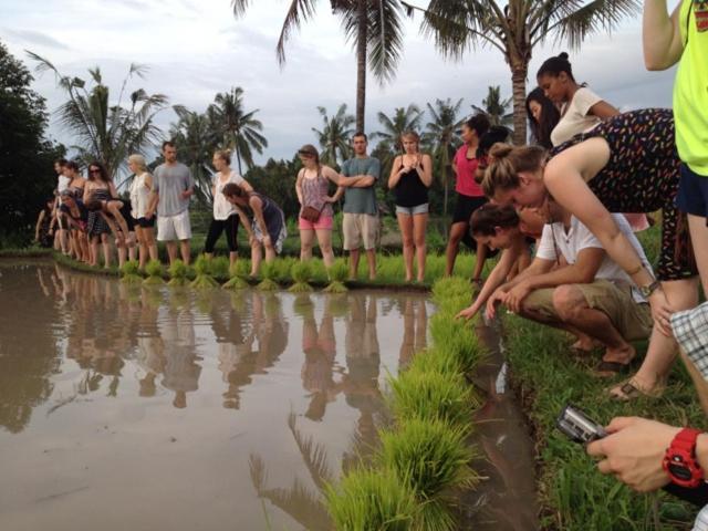 Hosté ubytování Omunity Bali