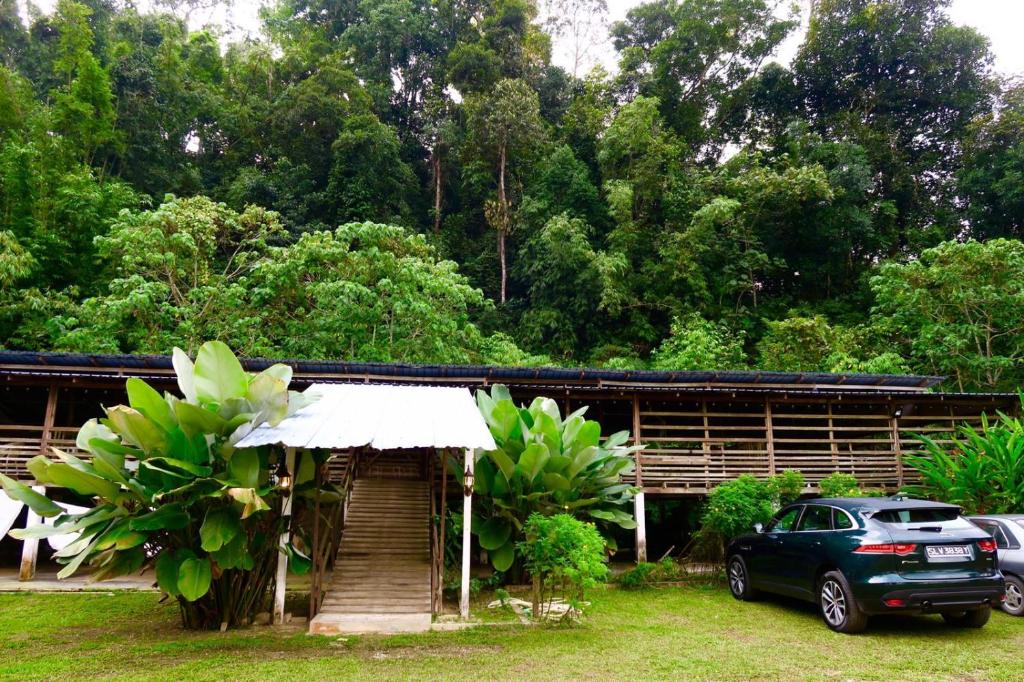 Zahrada ubytování Canopy Villa Glamping Park