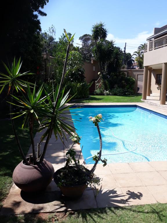 two potted plants sitting next to a swimming pool at Joan's Bed and Breakfast in Durban