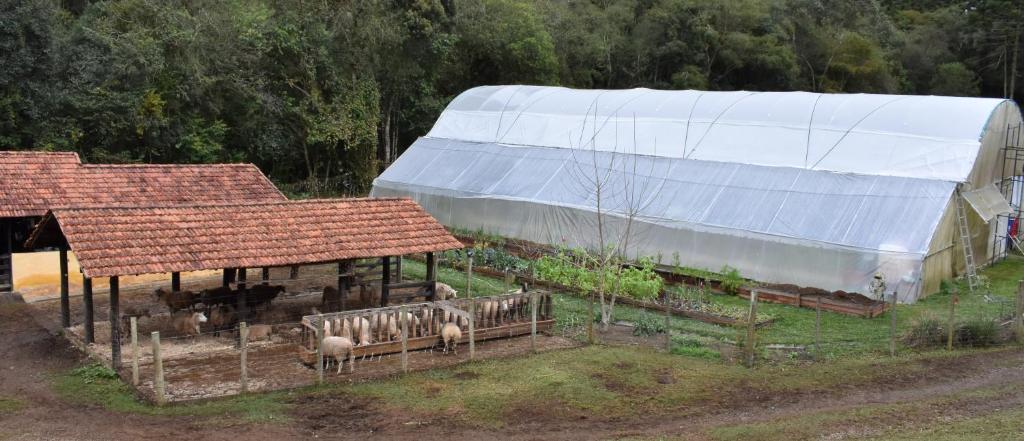  Chalet da Hortênsias