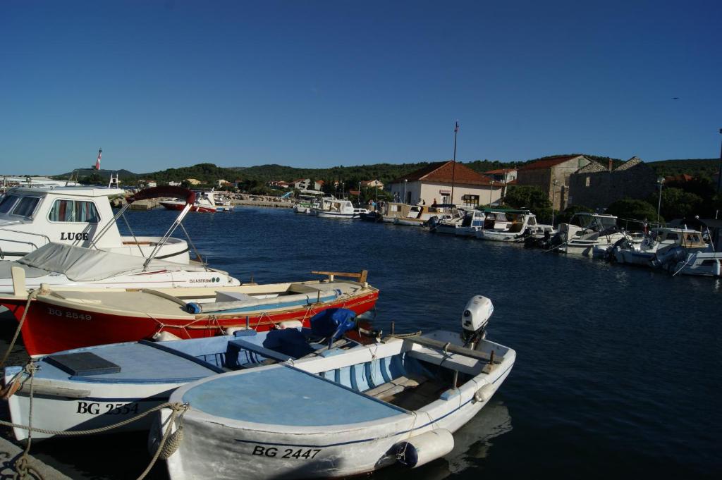 Príroda v okolí vily