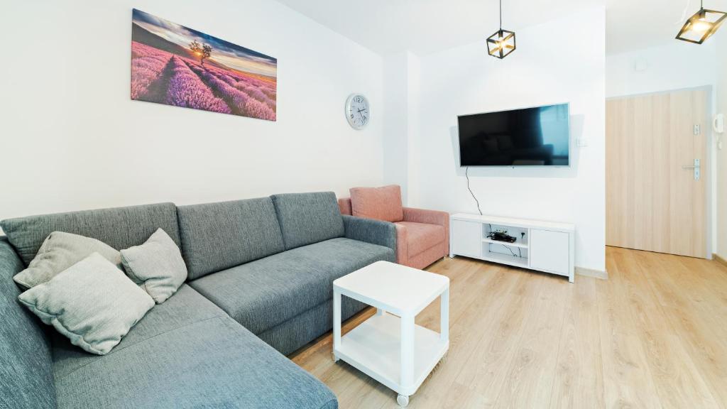 Televízia a/alebo spoločenská miestnosť v ubytovaní Apartamenty Sun & Snow Sarnia Residence