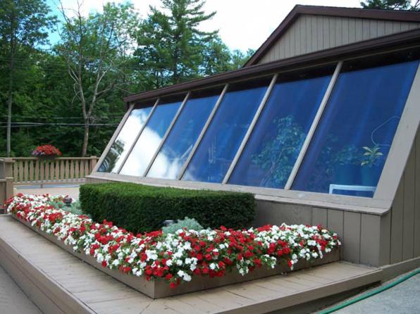 Zahrada ubytování Tall Pines Motel