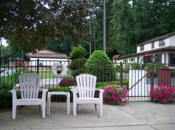 Zahrada ubytování Tall Pines Motel