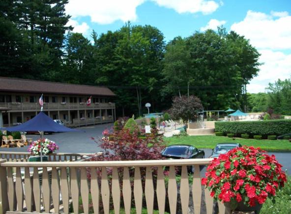 Zahrada ubytování Tall Pines Motel