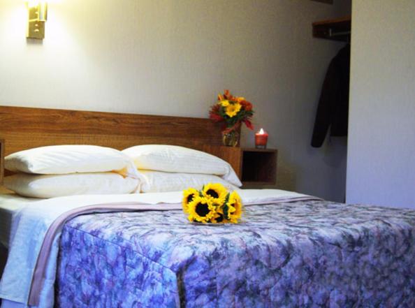 Postel nebo postele na pokoji v ubytování Tall Pines Motel