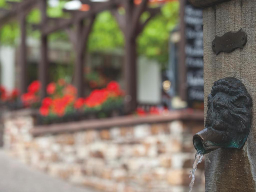 Zahrada ubytování Hotel Felsenkeller